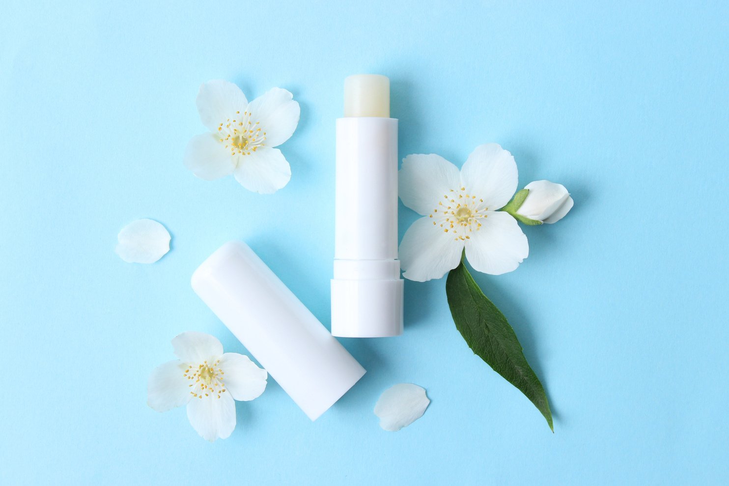 lip balm and flowers on a colored background close-up